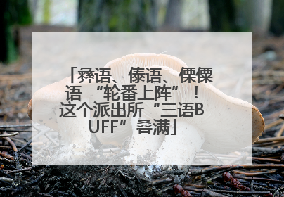 彝语、傣语、傈僳语 “轮番上阵”！这个派出所“三语BUFF”叠满