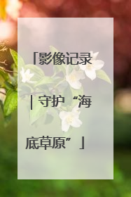 影像记录｜守护“海底草原”