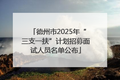 德州市2025年“三支一扶”计划招募面试人员名单公布