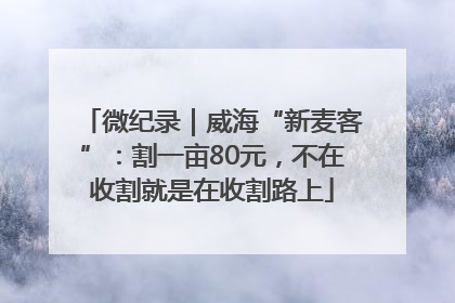 微纪录｜威海“新麦客”：割一亩80元，不在收割就是在收割路上