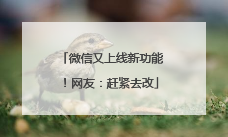 微信又上线新功能！网友：赶紧去改