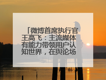 微博首席执行官王高飞：主流媒体有能力带领用户认知世界，在舆论场中搭建理性的讨论空间