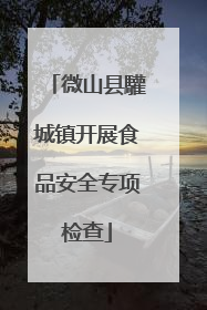 微山县驩城镇开展食品安全专项检查