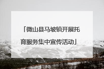 微山县马坡镇开展托育服务集中宣传活动