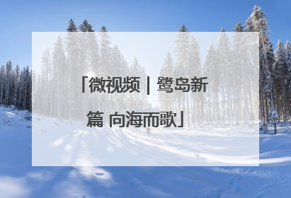 微视频｜鹭岛新篇 向海而歌