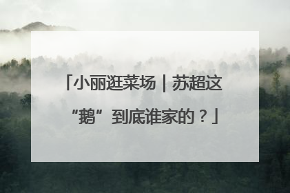 小丽逛菜场｜苏超这“鹅”到底谁家的？