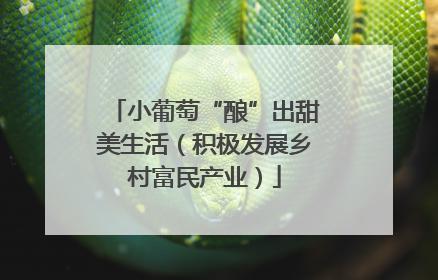 小葡萄“酿”出甜美生活（积极发展乡村富民产业）