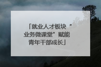 就业人才板块“业务微课堂”赋能青年干部成长