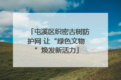 屯溪区织密古树防护网 让“绿色文物”焕发新活力