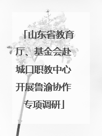 山东省教育厅、基金会赴城口职教中心开展鲁渝协作专项调研