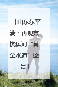 山东东平港：再现京杭运河“黄金水道”盛景