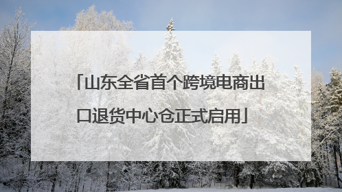 山东全省首个跨境电商出口退货中心仓正式启用