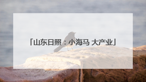 山东日照：小海马 大产业