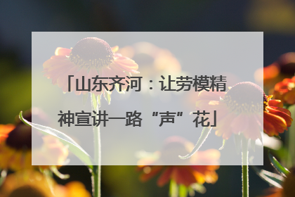 山东齐河：让劳模精神宣讲一路“声”花