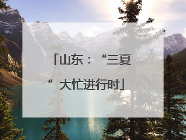 山东：“三夏”大忙进行时