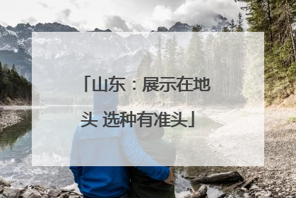 山东：展示在地头 选种有准头
