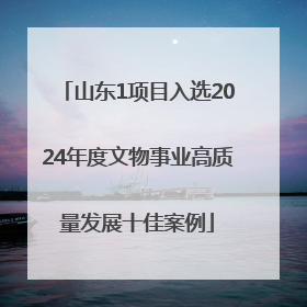 山东1项目入选2024年度文物事业高质量发展十佳案例
