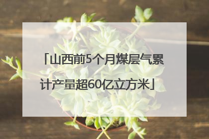 山西前5个月煤层气累计产量超60亿立方米