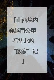 山西境内穿越百公里 看华北豹“搬家”记