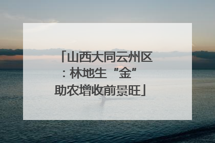 山西大同云州区：林地生“金” 助农增收前景旺