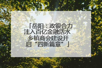 岳阳：政银合力注入百亿金融活水 乡镇商会建设开启“四新篇章”