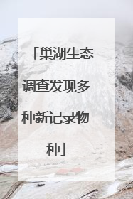 巢湖生态调查发现多种新记录物种