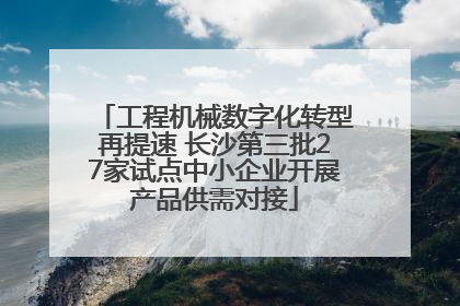 工程机械数字化转型再提速 长沙第三批27家试点中小企业开展产品供需对接