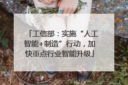 工信部：实施“人工智能+制造”行动，加快重点行业智能升级