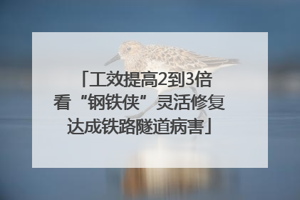 工效提高2到3倍 看“钢铁侠”灵活修复达成铁路隧道病害