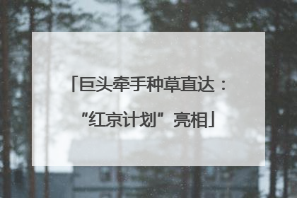 巨头牵手种草直达：“红京计划”亮相