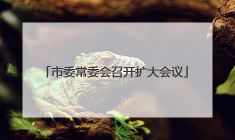 市委常委会召开扩大会议
