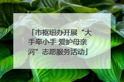 市枢纽办开展“大手牵小手 爱护母亲河”志愿服务活动