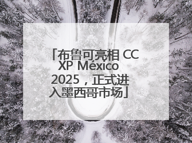 布鲁可亮相 CCXP México 2025，正式进入墨西哥市场