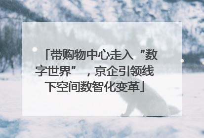 带购物中心走入“数字世界”，京企引领线下空间数智化变革