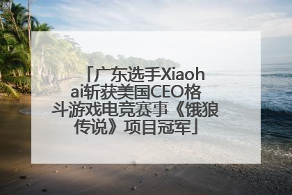 广东选手Xiaohai斩获美国CEO格斗游戏电竞赛事《饿狼传说》项目冠军