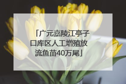 广元嘉陵江亭子口库区人工增殖放流鱼苗40万尾