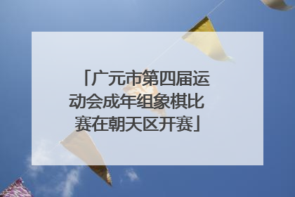 广元市第四届运动会成年组象棋比赛在朝天区开赛