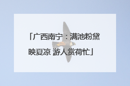 广西南宁：满池粉黛映夏凉 游人赏荷忙