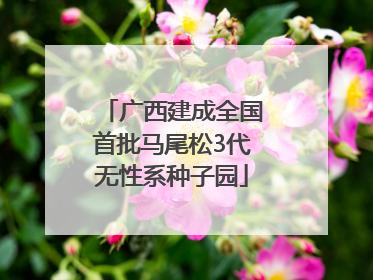 广西建成全国首批马尾松3代无性系种子园