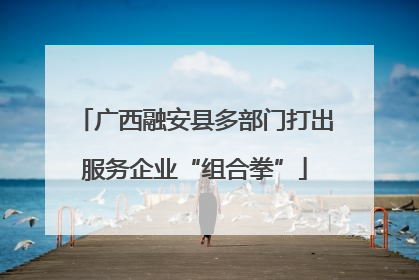 广西融安县多部门打出服务企业“组合拳”