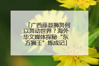 广西藤县狮舞何以舞动世界？海外华文媒体探秘“东方狮王”炼成记