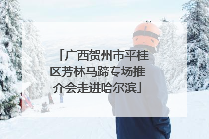 广西贺州市平桂区芳林马蹄专场推介会走进哈尔滨