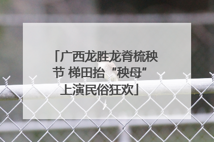 广西龙胜龙脊梳秧节 梯田抬“秧母”上演民俗狂欢