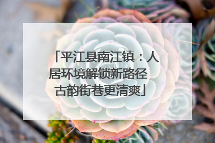 平江县南江镇：人居环境解锁新路径 古韵街巷更清爽
