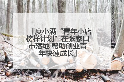 度小满“青年小店榜样计划”在张家口市落地 帮助创业青年快速成长