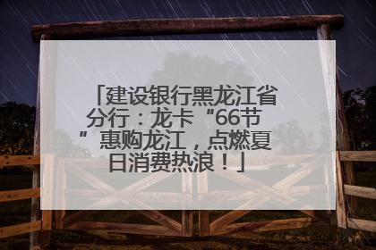 建设银行黑龙江省分行：龙卡“66节”惠购龙江，点燃夏日消费热浪！