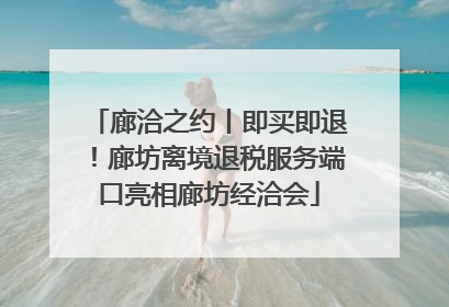 廊洽之约丨即买即退！廊坊离境退税服务端口亮相廊坊经洽会