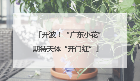开波！“广东小花”期待天体“开门红”