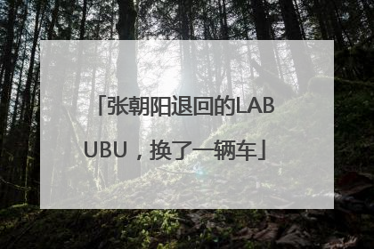 张朝阳退回的LABUBU，换了一辆车