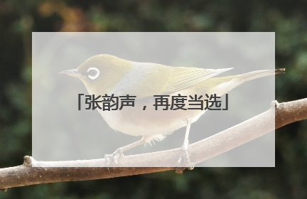 张韵声，再度当选